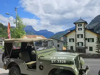 Usata Jeep Willys 1950 Verde