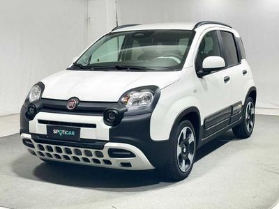 Usata Fiat Panda S 70 CV (51 kW) 2024 Gelato Utilitaria