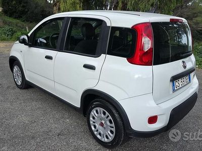 Usata Fiat Panda 2023 Bianco Berlina