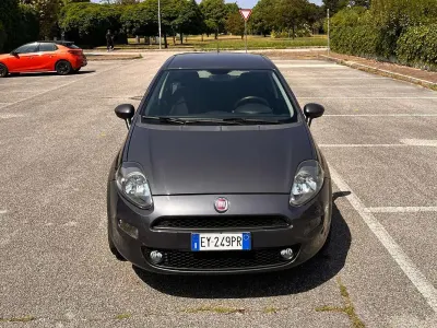 Usata Fiat Punto Young 69 CV (50 kW) 2015 Grigio Utilitaria