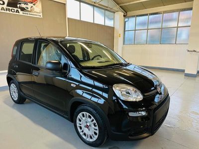 usata Fiat Panda 1.0 70cv Hybrid My24 KM0 "Pronta consegna"