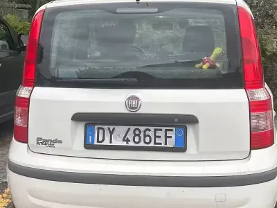 Usata Fiat Panda 60 CV (44 kW) 2009 Bianco Utilitaria