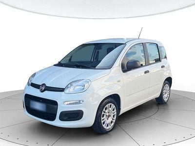 Usata Fiat Panda Easy 69 CV (50 kW) 2018 Bianco Utilitaria