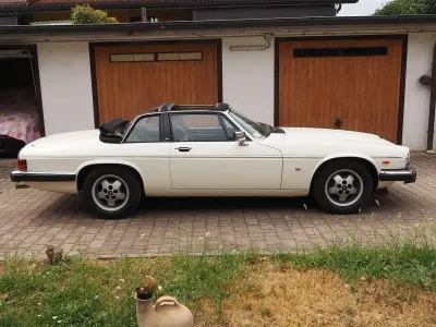 Usata Jaguar XJS 224 CV (164 kW) 1984 Bianco Coupé