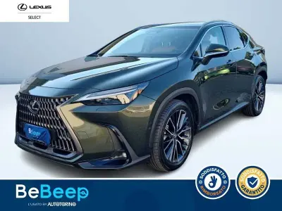 Usata Lexus NX450h+ Luxury Line 308 CV (226 kW) 2023 Verde metallizzato SUV