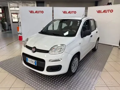 Usata Fiat Panda Easy 69 CV (50 kW) 2015 Bianco Utilitaria