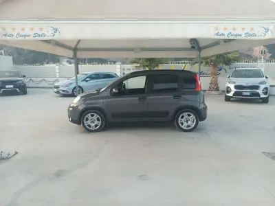 Usata Fiat Panda Cross