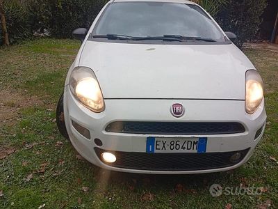 Usata Fiat Punto Evo 75 CV (55 kW) 2014 Bianco Utilitaria