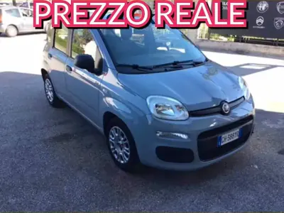Usata Fiat Panda 69 CV (50 kW) 2022 Grigio Utilitaria