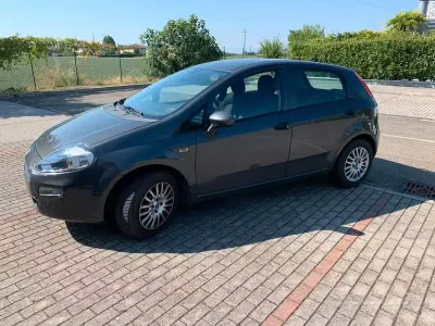 Usata Fiat Punto 65 CV (47 kW) 2016 Grigio Utilitaria