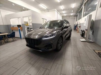 Usata Ford Kuga ST-Line 225 CV (165 kW) 2024 Grigio SUV
