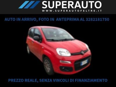Usata Fiat Panda 69 CV (50 kW) 2018 Rosso Utilitaria