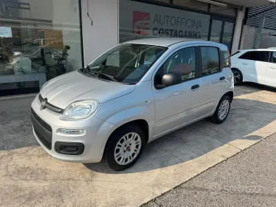 Usata Fiat Panda Easy 69 CV (50 kW) 2019 Grigio Utilitaria