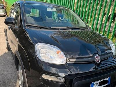 Usata Fiat Panda