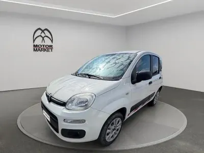 Usata Fiat Panda 4x4 Pop 85 CV (62 kW) 2019 Bianco Utilitaria