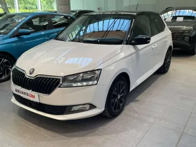 Usata Skoda Fabia