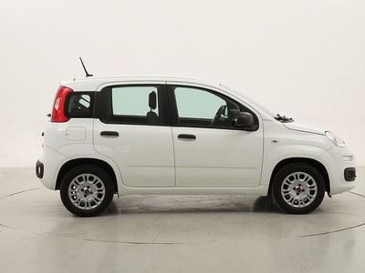Usata Fiat Panda Easy 69 CV (50 kW) 2020 Utilitaria