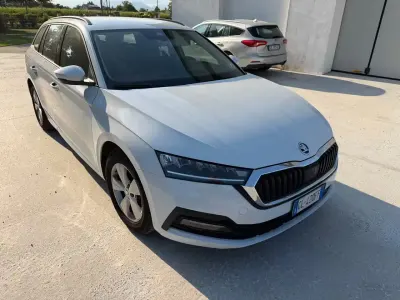 Usata Skoda Octavia