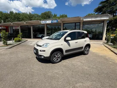 Usata Fiat Panda 4x4 S 95 CV (69 kW) 2016 Beige Utilitaria