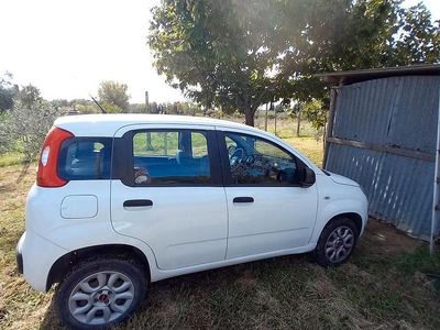 Usata Fiat Panda 85 CV (62 kW) 2018 Bianco Utilitaria