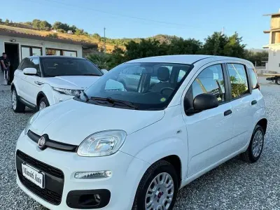 Usata Fiat Panda Easy 95 CV (69 kW) 2018 Bianco Utilitaria