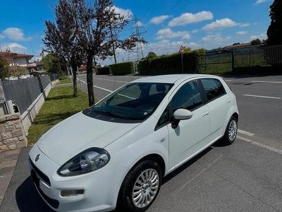 usata Fiat Punto Evo benzina 5 porte neopatentati