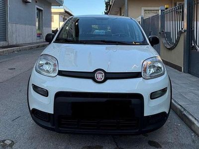 Usata Fiat Panda S 69 CV (50 kW) 2024 Bianco Utilitaria