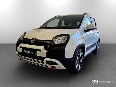 Usata Fiat Panda Cross Cross 69 CV (50 kW) 2024 Bianco gelato Utilitaria