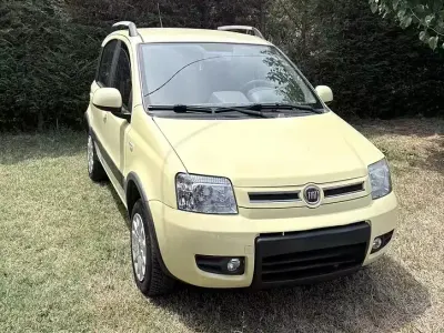 Usata Fiat Panda 4x4