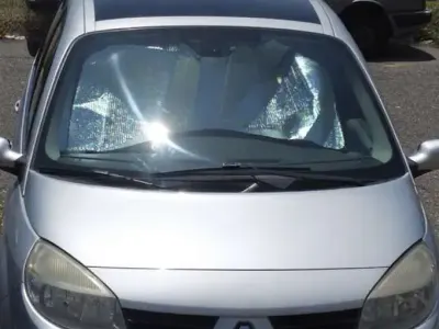 Usata Renault Scénic II Dynamique 131 CV (96 kW) 2006 Monovolume