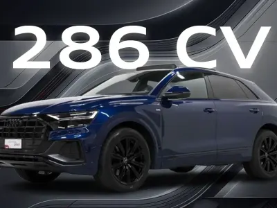Usata Audi Q8