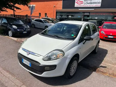 Usata Fiat Punto Evo Active 69 CV (50 kW) 2011 Bianco Utilitaria