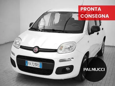 Usata Fiat Panda Easy 69 CV (50 kW) 2019 Bianco Utilitaria