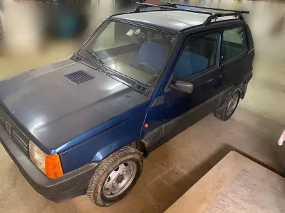 Usata Fiat Panda 4x4 Trekking 54 CV (39 kW) 1999 Utilitaria