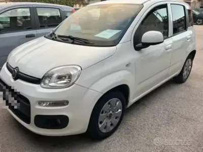 Usata Fiat Panda 80 CV (58 kW) 2016 Bianco Utilitaria