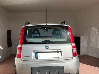 Usata Fiat Panda 4x4 Climbing 60 CV (44 kW) 2006 Grigio Utilitaria