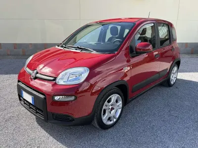 Usata Fiat Panda City Life 69 CV (50 kW) 2024 Rosso Utilitaria