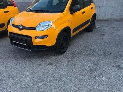 Usata Fiat Panda 4x4 95 CV (69 kW) 2018 Giallo Utilitaria