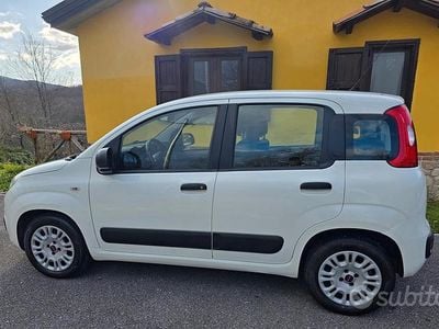 Usata Fiat Panda 2018 Bianco Utilitaria