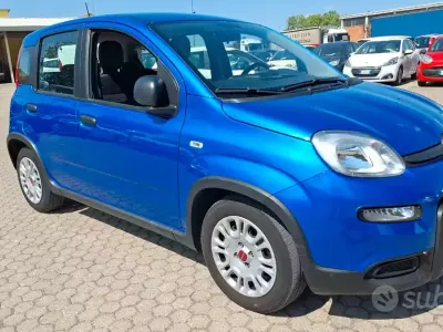 Usata Fiat Panda S 70 CV (51 kW) 2024 Bluazzurro Utilitaria