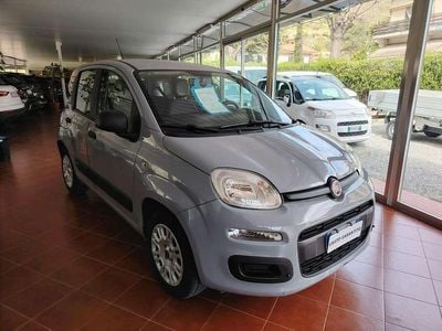 Usata Fiat Panda Easy 69 CV (50 kW) 2019 Grigio Utilitaria