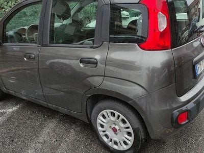Usata Fiat Panda Easy 69 CV (50 kW) 2017 Grigio Utilitaria