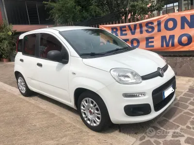 Usata Fiat Panda Pop 69 CV (50 kW) 2017 Bianco Utilitaria