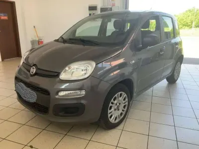 Usata Fiat Panda Easy 69 CV (50 kW) 2019 Argento Utilitaria