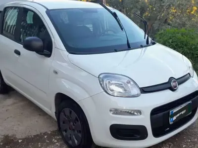 Usata Fiat Panda Easy 95 CV (69 kW) 2017 Bianco Utilitaria