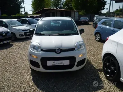 Usata Fiat Panda Easy 69 CV (50 kW) 2013 Bianco Utilitaria