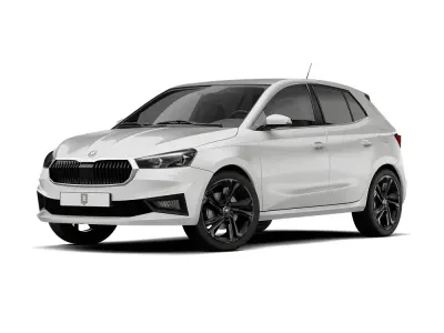Usata Skoda Fabia