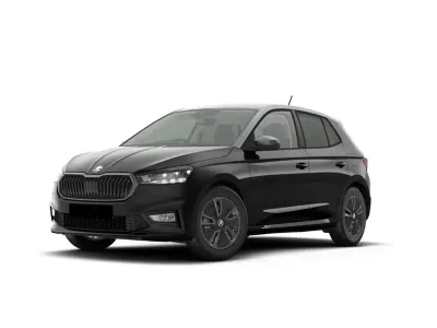 Usata Skoda Fabia