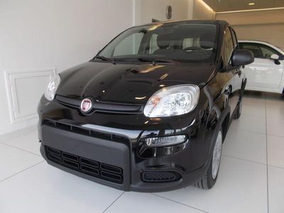 usata Fiat Panda 1.0 FireFly S&S Hybrid 338.7575187 MASSARI MARCO