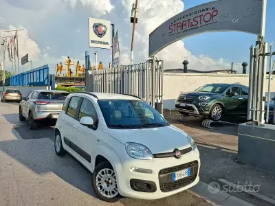 Usata Fiat Panda Lounge 69 CV (50 kW) 2018 Bianco Utilitaria